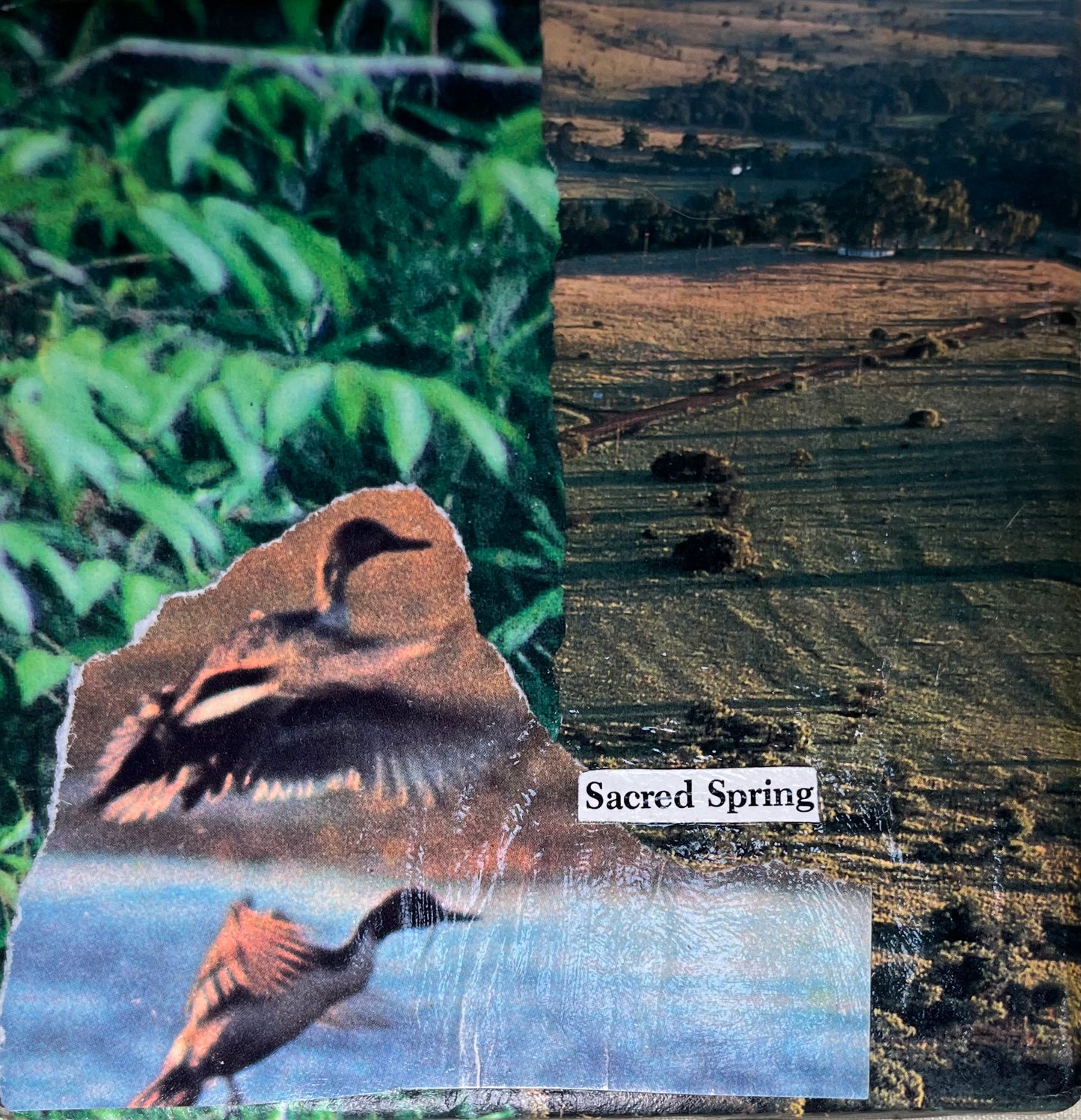 Collaged Coasters