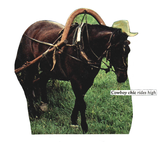 “Cowboy chic” sticker
