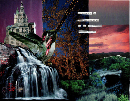 “Divine providence”